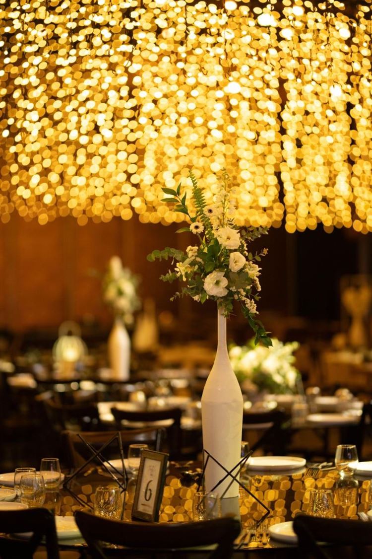 צילום: אורן סונגו