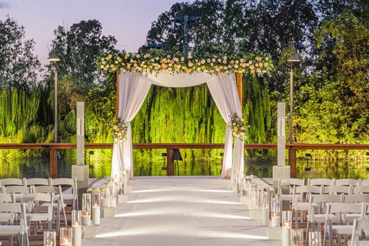 צילום: חיים אפריאט