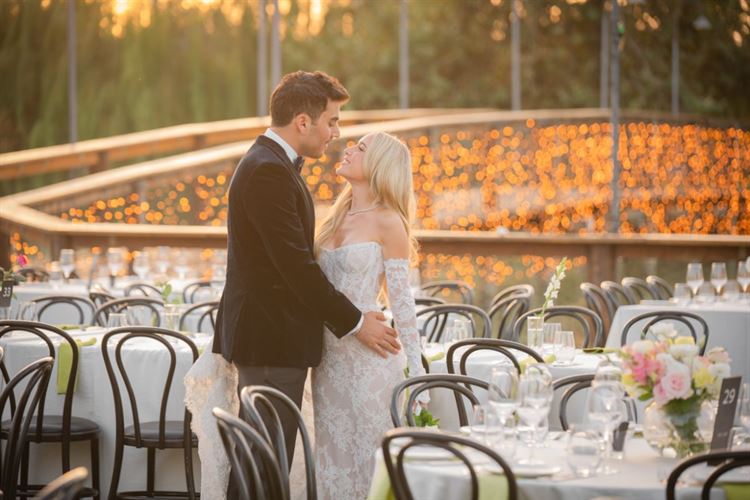 צילום: חיים אפריאט