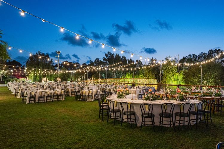 צילום: חיים אפריאט