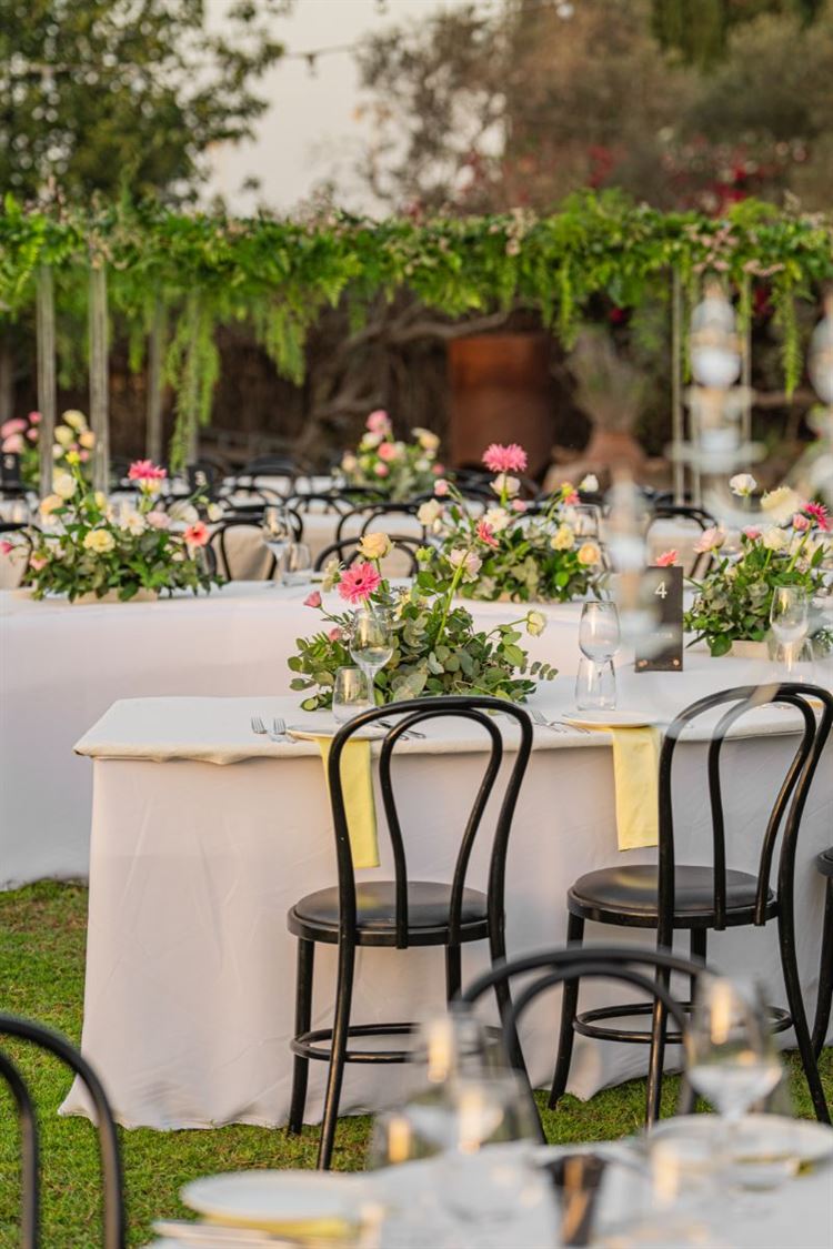 צילום: חיים אפריאט