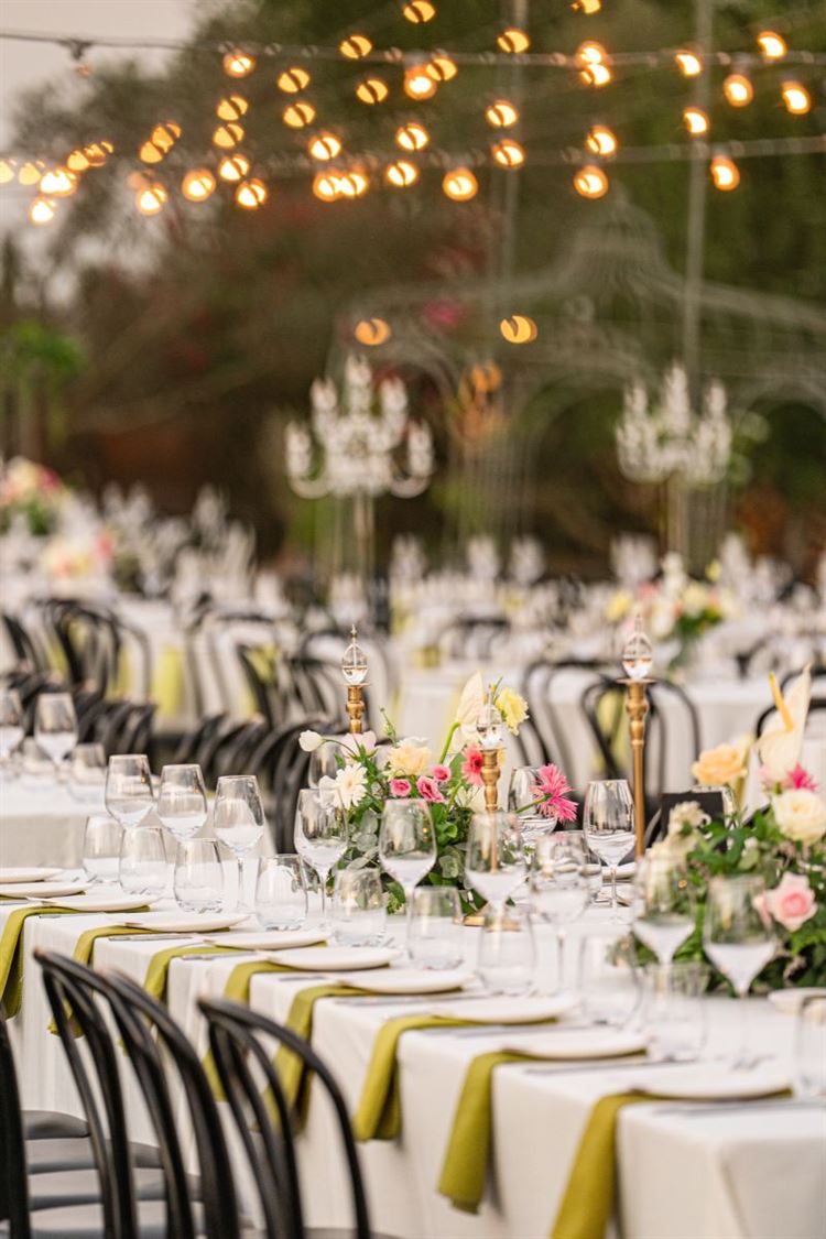 צילום: חיים אפריאט