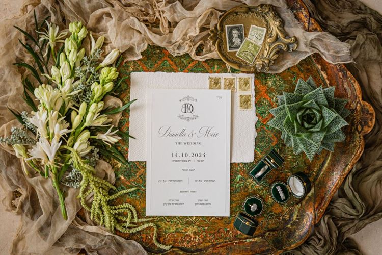 צילום: חיים אפריאט