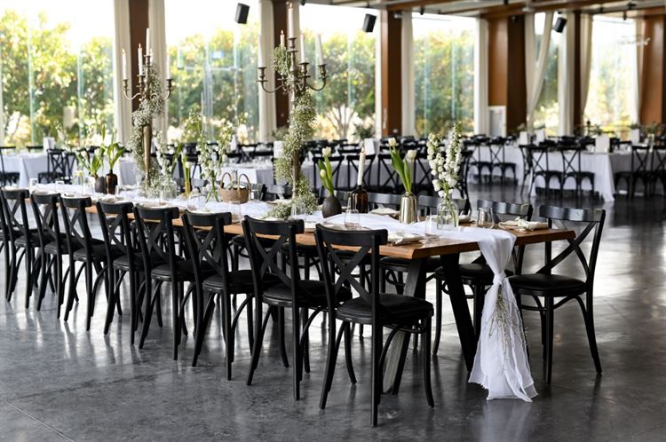 צילום: וואלה! מזל טוב