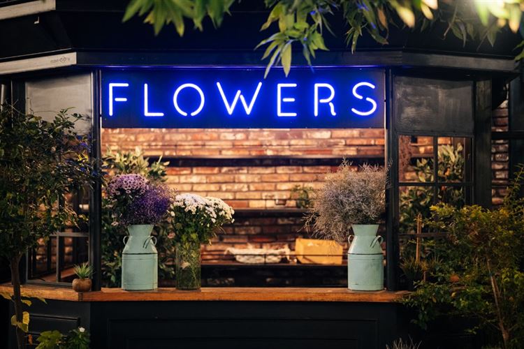 צילום: דניס בוטרו