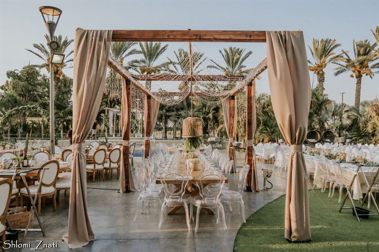 צילום: שלומי זנתי