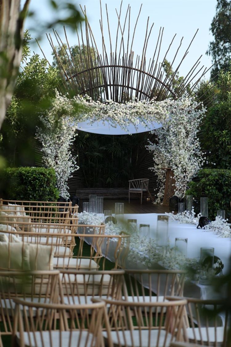 צילום: שלומי ביטון