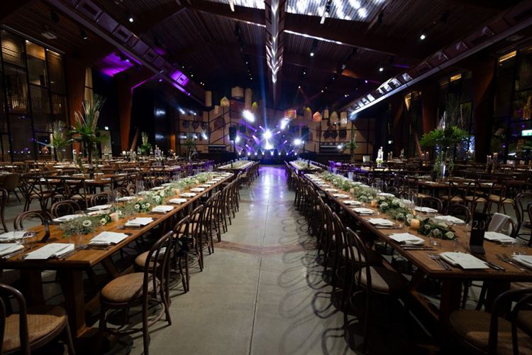 צילום: שלומי ביטון