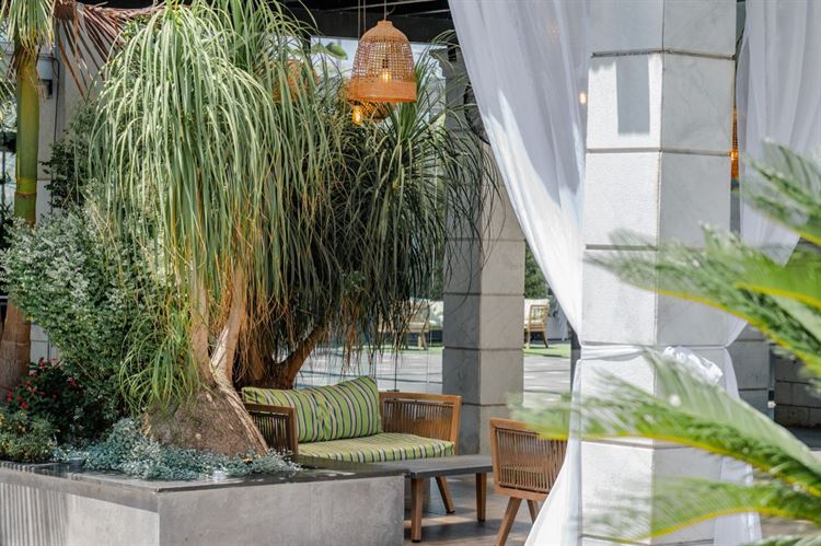 (צילום: וואלה מזל טוב)