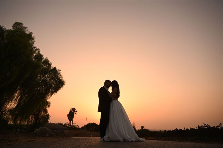 צילום: OFFWHITE