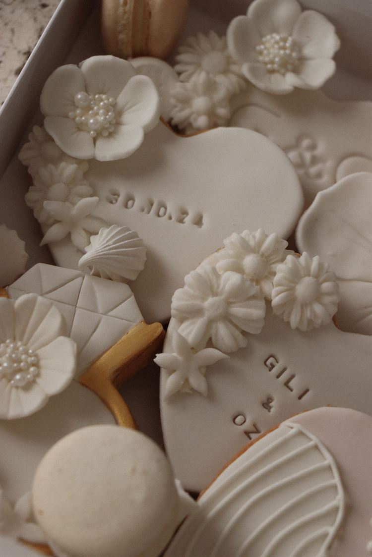 צילום: אליה שיטרית