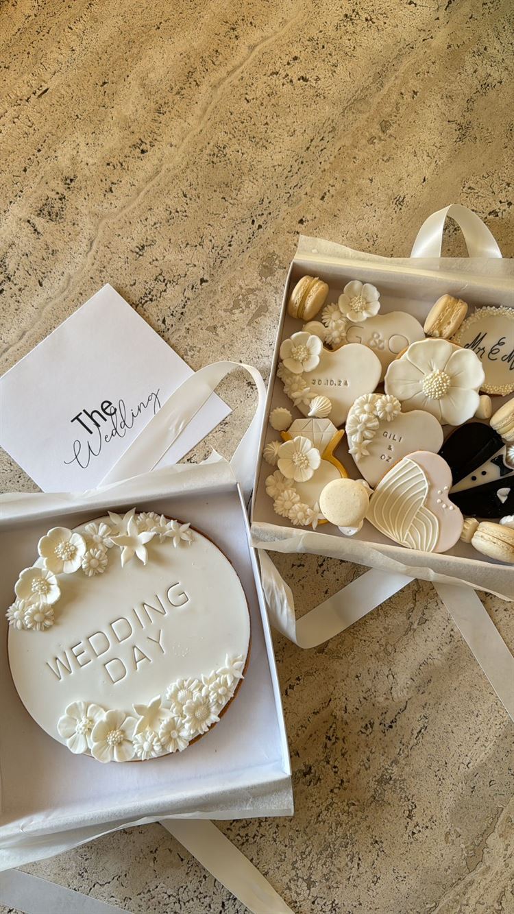 צילום: אליה שיטרית