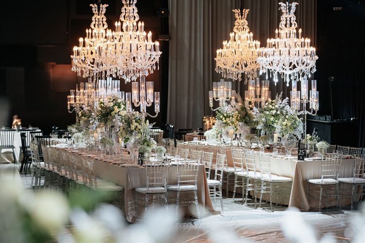 צילום: שלומי ביטון