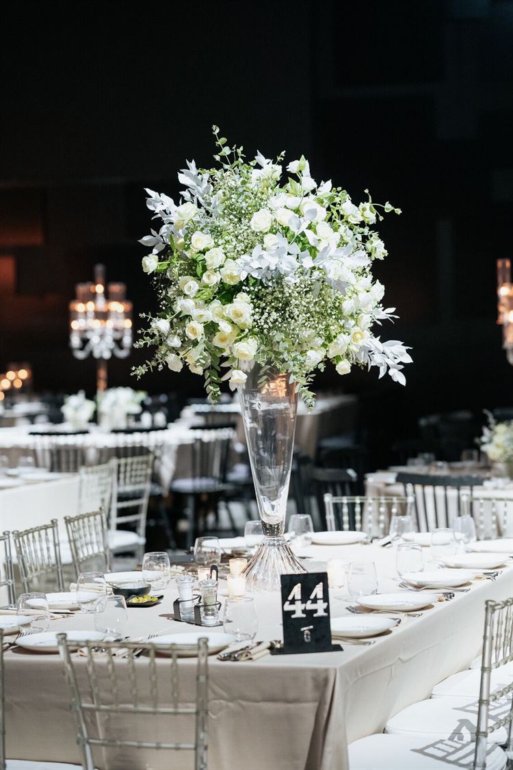 צילום: שלומי ביטון