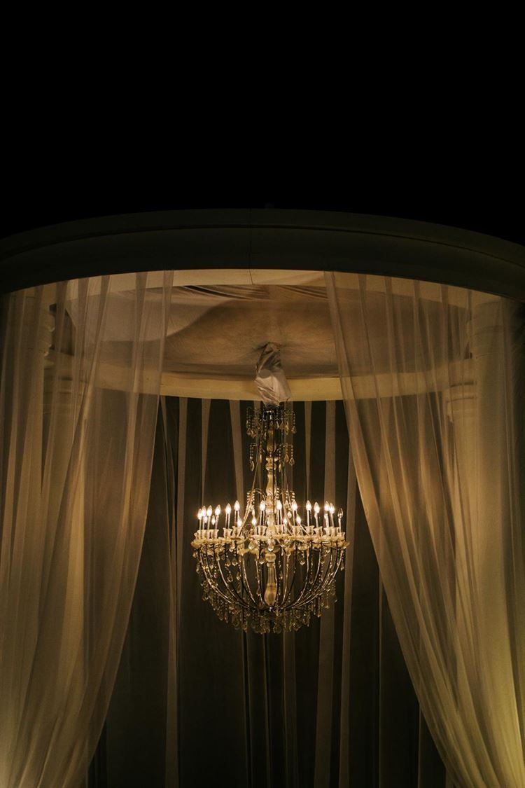 צילום:  white code social