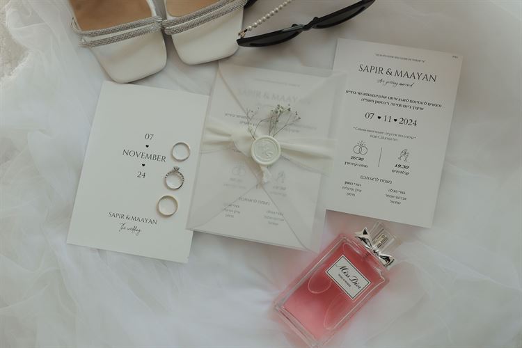 צילום: אלון אנקונינה