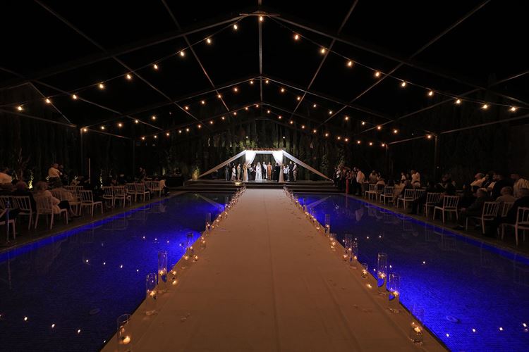 צילום: אלון אנקונינה