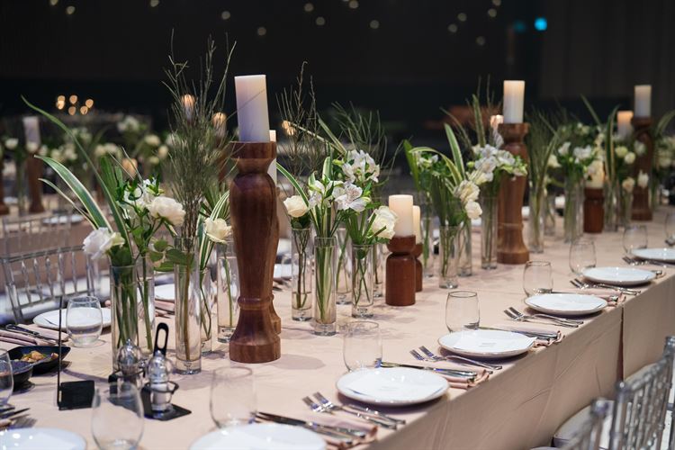 צילום: אלון אנקונינה