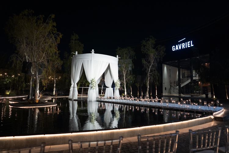 צילום: אלון אנקונינה