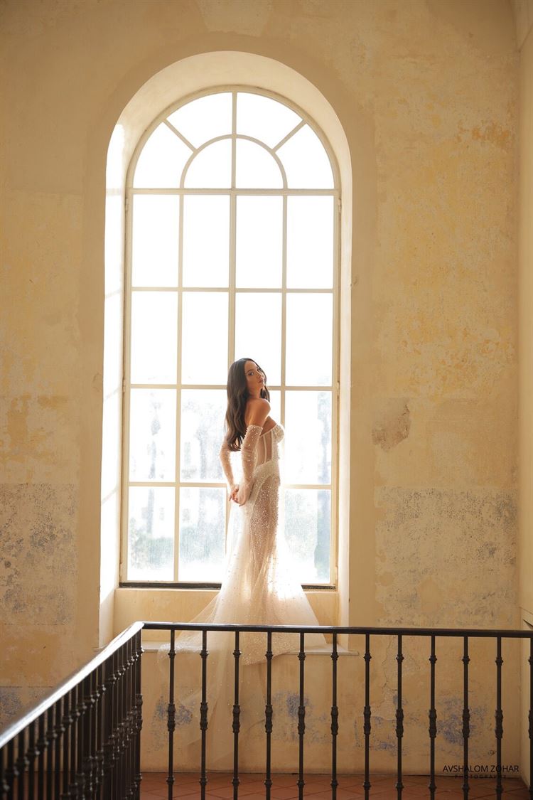 צילום: אבשלום זוהר