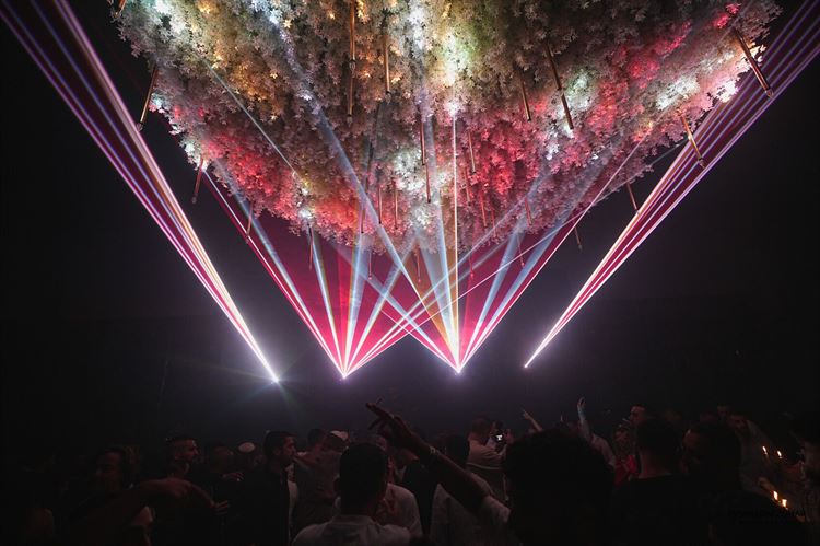 צילום: אבשלום זוהר