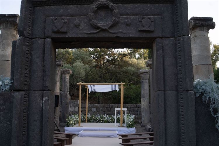 צילום: ברנדו פוטוגרפי (ג׳וני ראש)