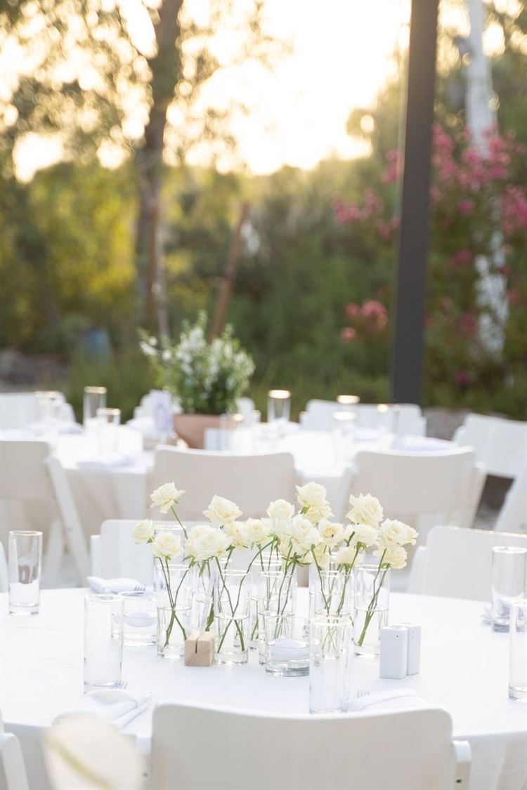 צילום: ברנדו פוטוגרפי (ג׳וני ראש)