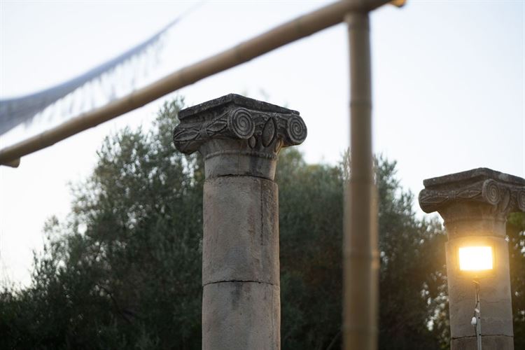 צילום: ברנדו פוטוגרפי (ג׳וני ראש)