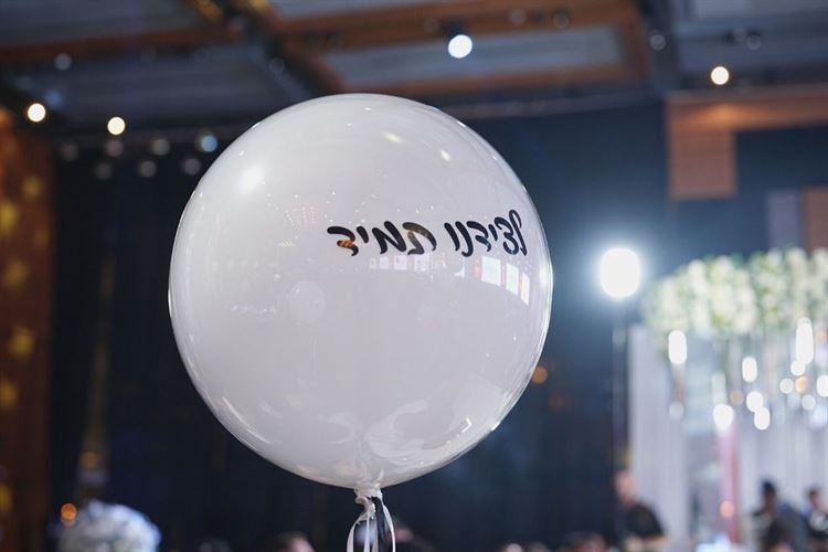 צילום: ניב בן דוד