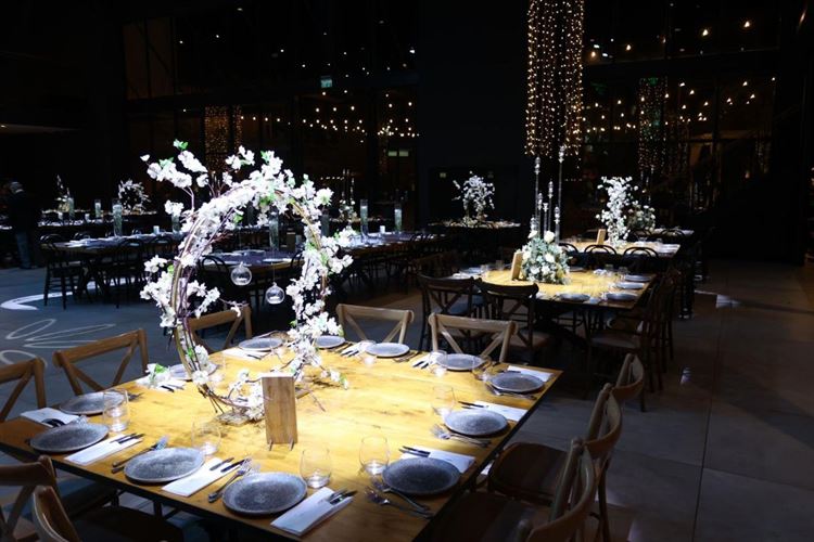 צילום: רפאל חג'ג'