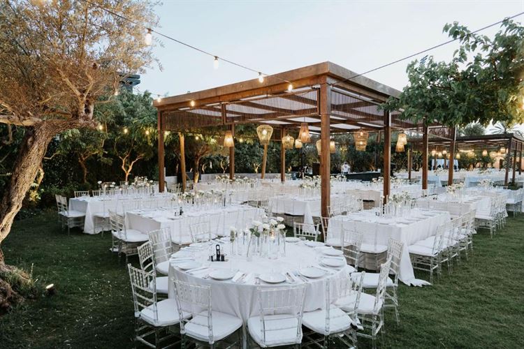 צילום: אורן סונגו