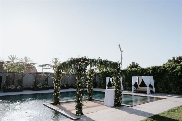 צילום: אורן סונגו