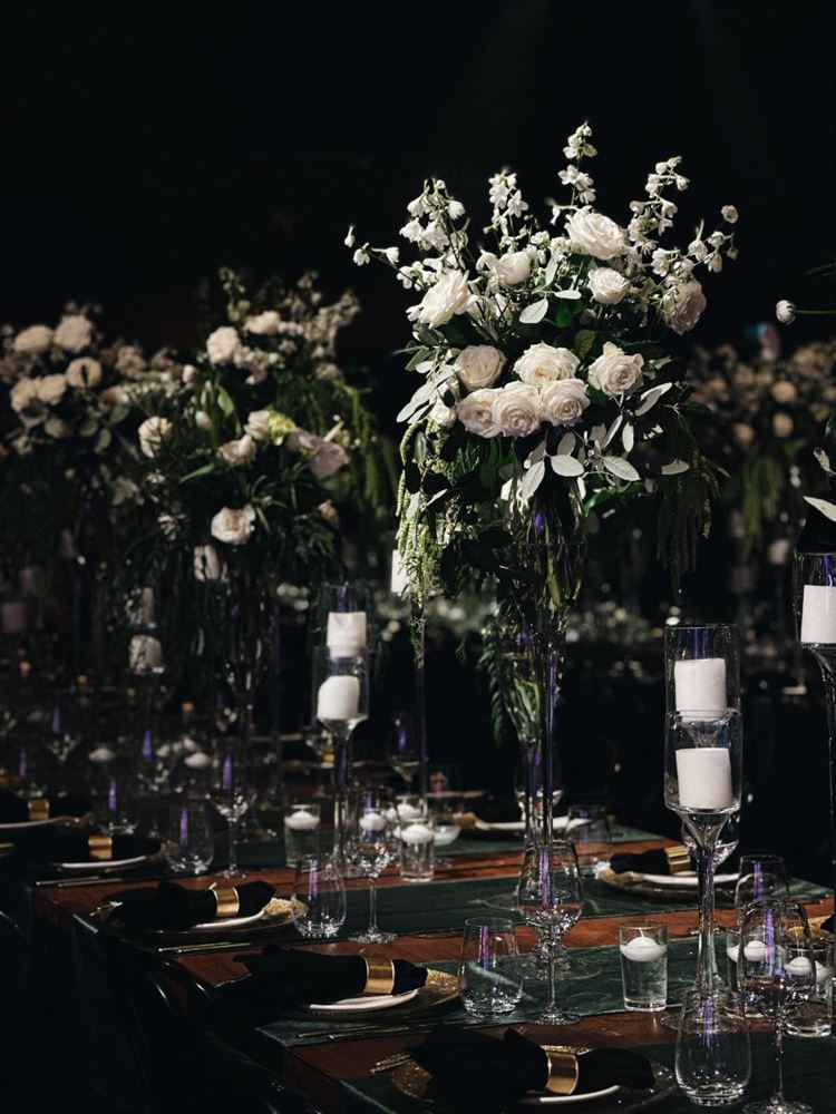 צילום: עומר צבאח