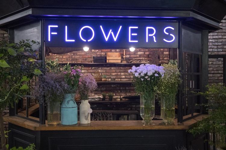 צילום: אלון גרובר