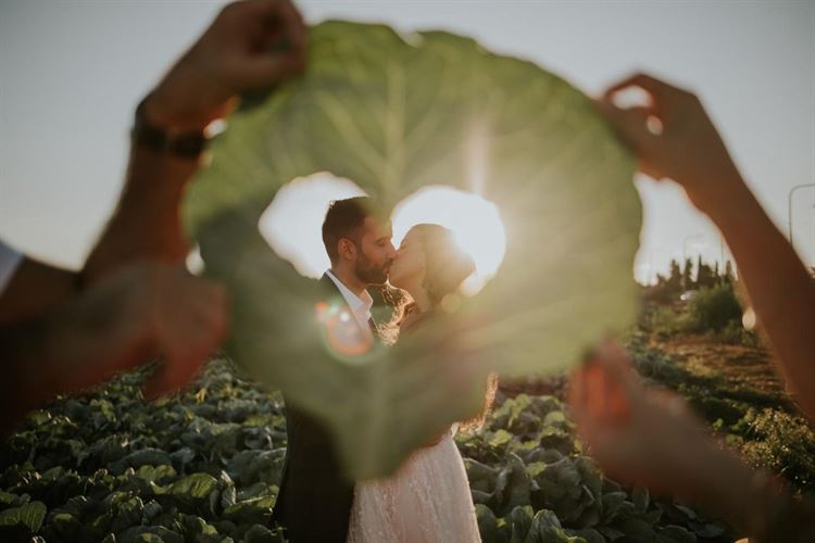 צילום: סשה קוזלוב