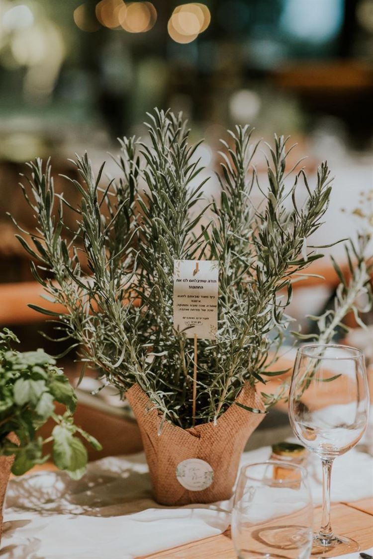 צילום: סשה קוזלוב