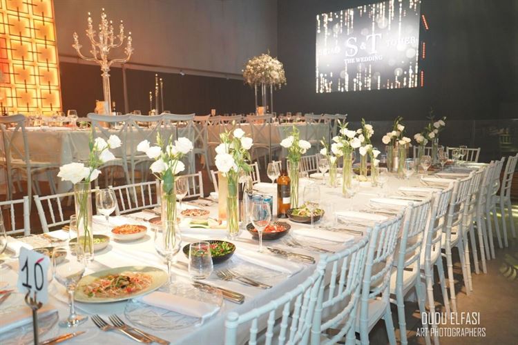 צילום: דודו אלפסי