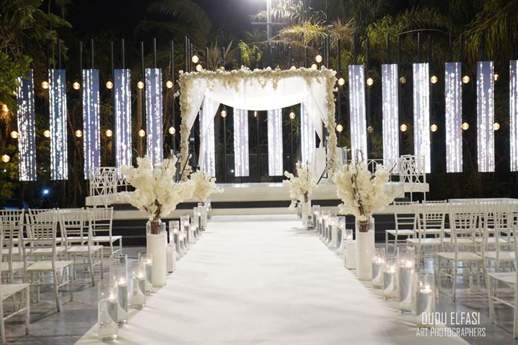 צילום: דודו אלפסי