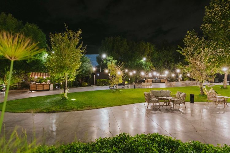 צילום: מני שטרית