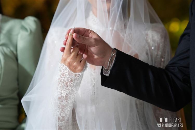 צילום: דודו אלפסי