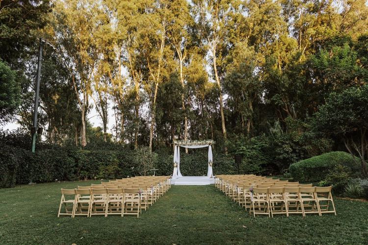 צילום: דור אדל