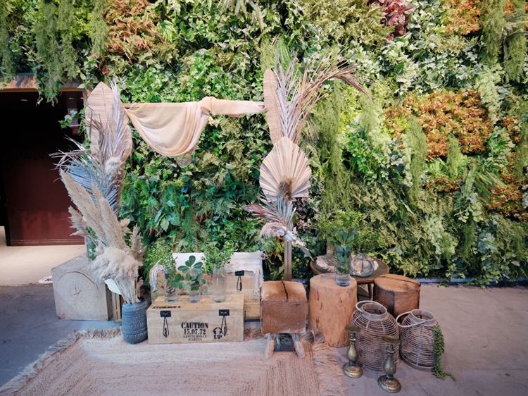 צילום: קסם צלמים