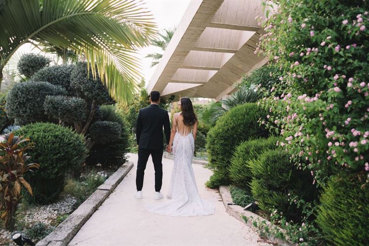 צילום: חיים אביב