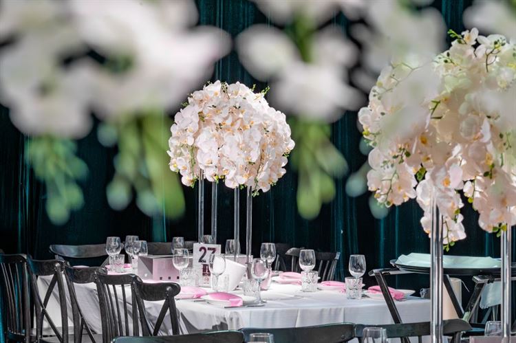 צילום: וואלה! מזל טוב