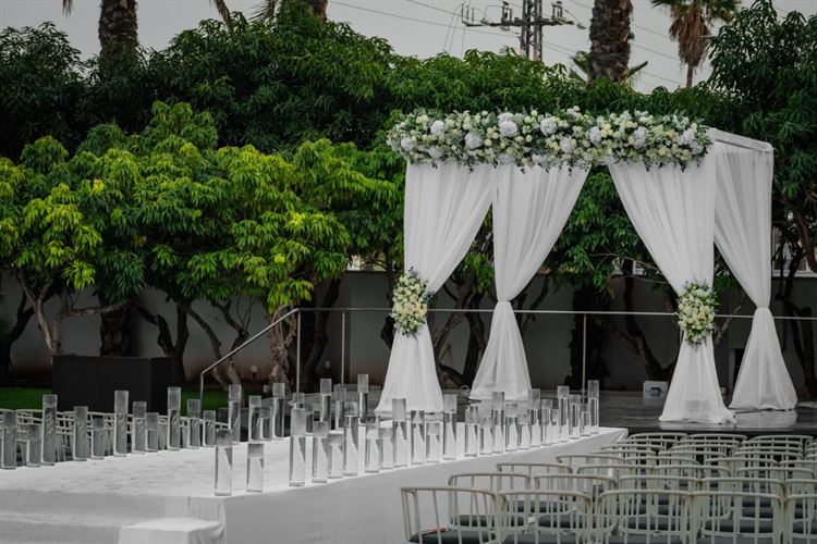 צילום: וואלה! מזל טוב