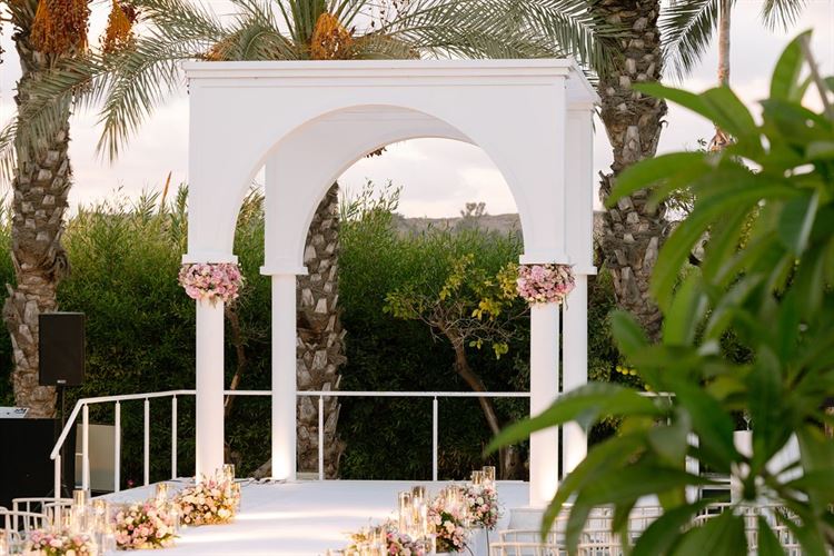 צילום: willow rotter