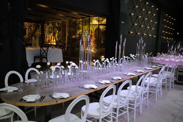 צילום: אבשלום זוהר