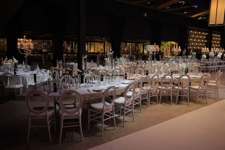 צילום: אבשלום זוהר