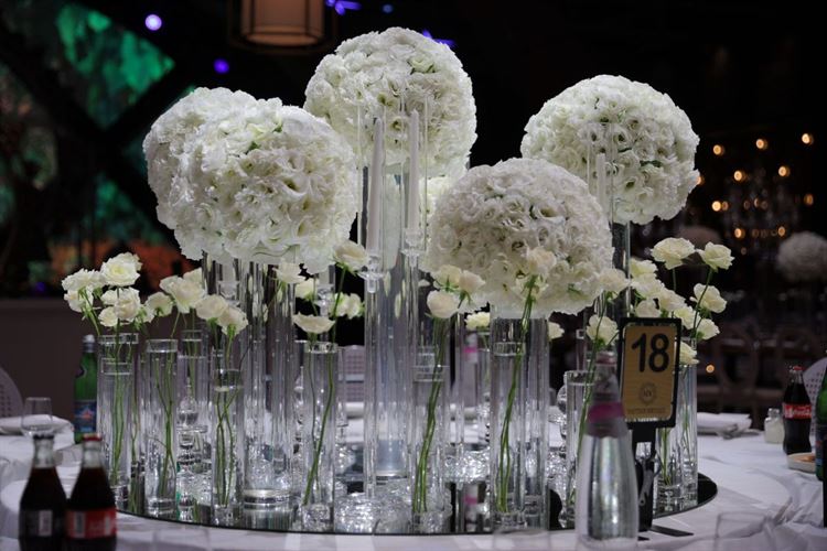 צילום: אבשלום זוהר