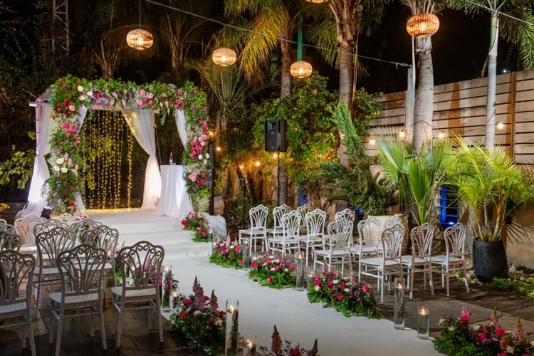 צילום: וואלה! מזל טוב